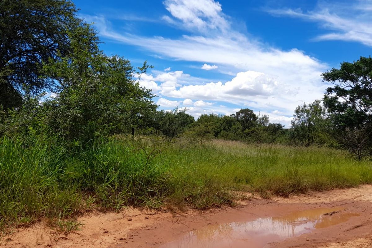 Vacant Land For Sale in Pretoria North, Pretoria - Photo 2