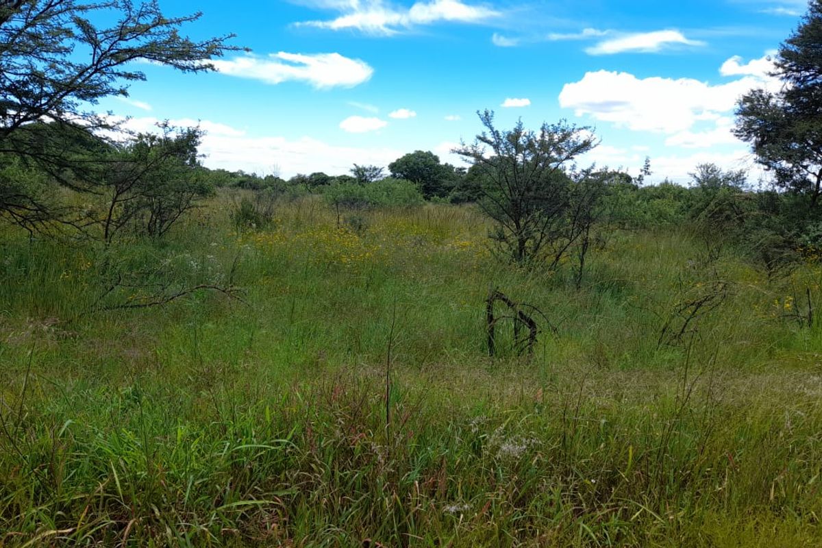 Vacant Land For Sale in Pretoria North, Pretoria - Photo 3