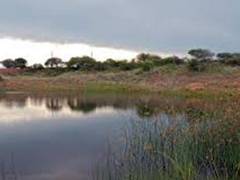 A scenic view of a natural farm dam surrounded by indigenous vegetation and rolling landscape under a cloudy sky.