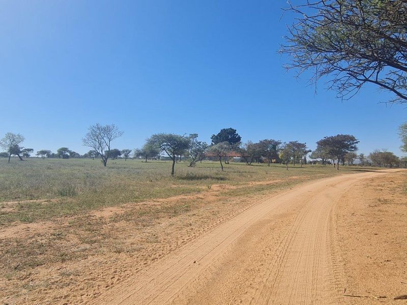 A wide-angle view of the expansive farm landscape featuring a dirt access road winding through the open veld with scattered indigenous trees.