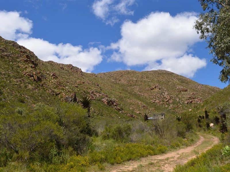 A scenic view of the farm landscape featuring a dirt access road winding through natural vegetation and rugged mountain terrain.