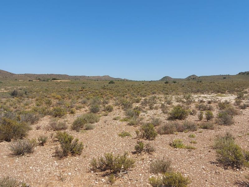 Farm FOR SALE in Ladismith Rural, Ladismith - Photo 10