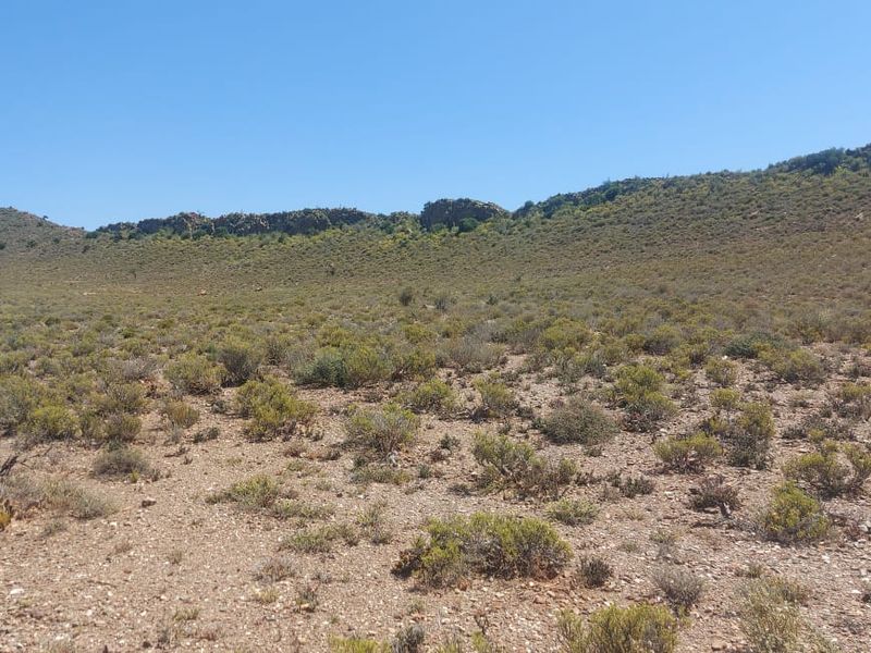 Farm FOR SALE in Ladismith Rural, Ladismith - Photo 8