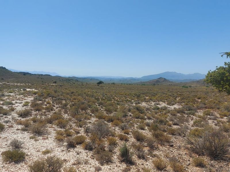 Farm FOR SALE in Ladismith Rural, Ladismith - Photo 9