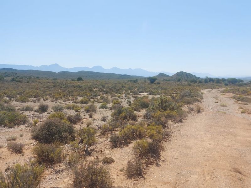 Farm FOR SALE in Ladismith Rural, Ladismith - Photo 5