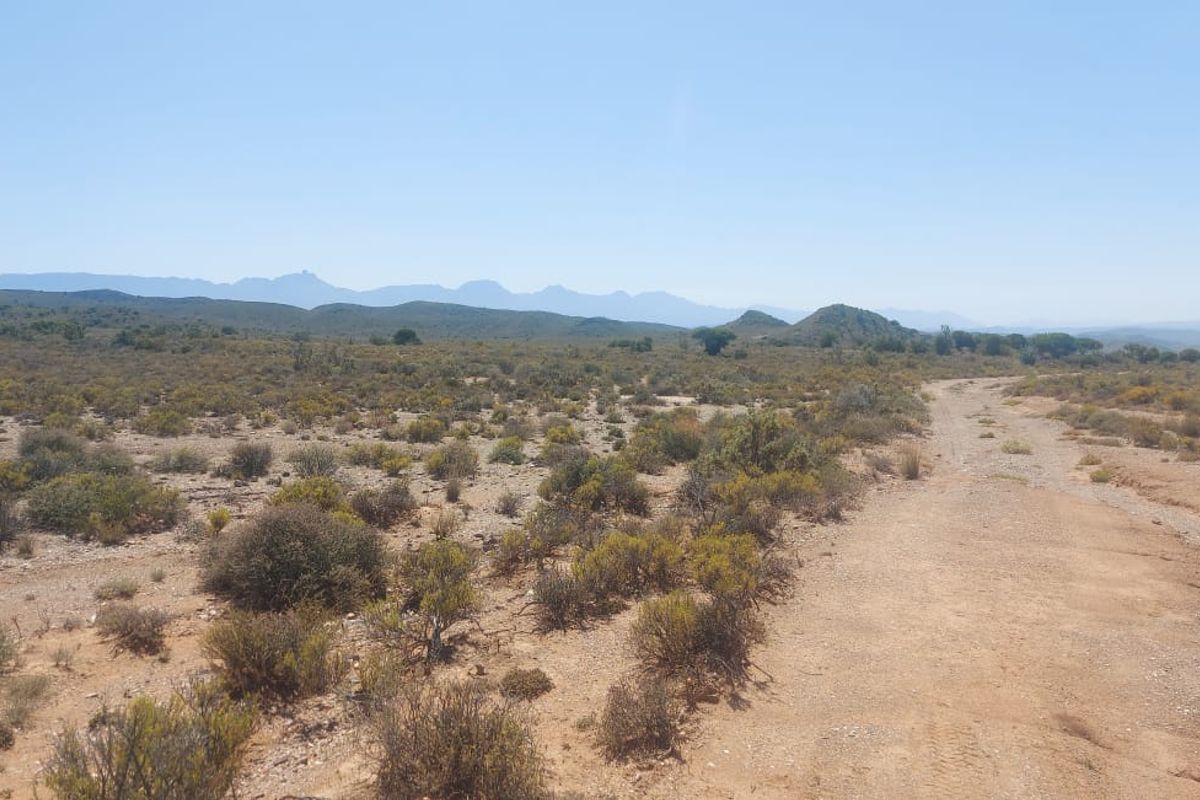 Farm FOR SALE in Ladismith Rural, Ladismith - Photo 5