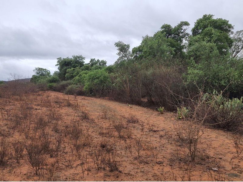 Vacant Land For Sale in Elephant Rock Eco Estate, Hoedspruit - Photo 10