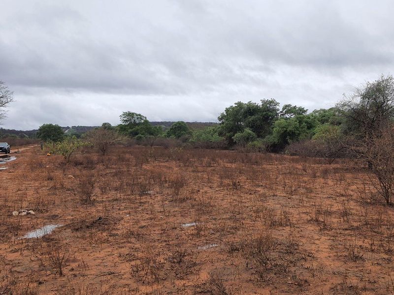 Vacant Land For Sale in Elephant Rock Eco Estate, Hoedspruit - Photo 8