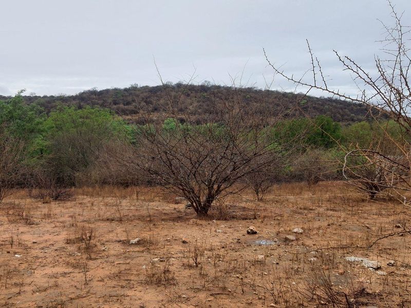 Vacant Land For Sale in Elephant Rock Eco Estate, Hoedspruit - Photo 6