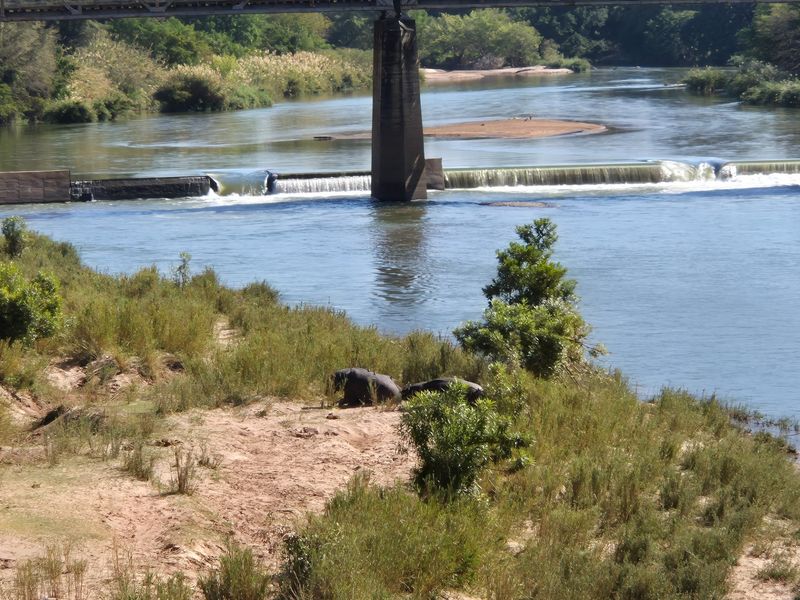 Vacant Land For Sale in Elephant Rock Eco Estate, Hoedspruit - Photo 4