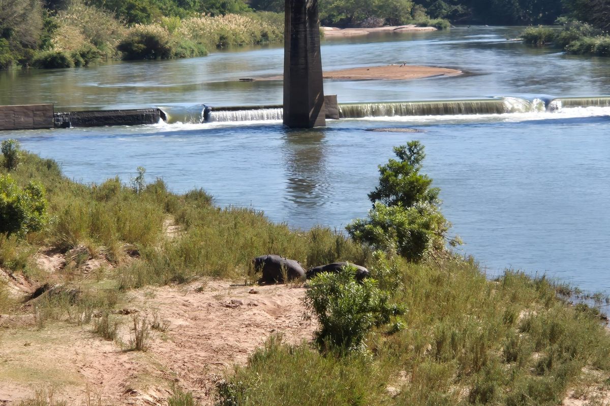 Vacant Land For Sale in Elephant Rock Eco Estate, Hoedspruit - Photo 4