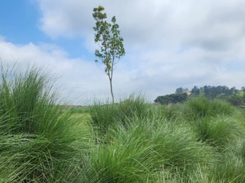 Secure Estate Living - Photo 4