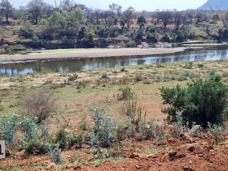 A scenic view of vacant residential land featuring natural vegetation and direct access to a riverfront landscape.