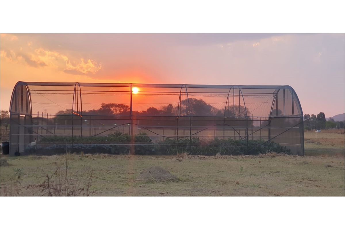 A large agricultural tunnel or greenhouse structure situated on the farm property, captured during sunset.