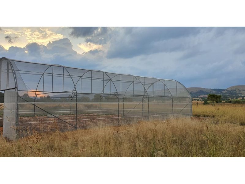 A functional greenhouse structure with metal framing and protective netting, situated in a rural landscape setting.