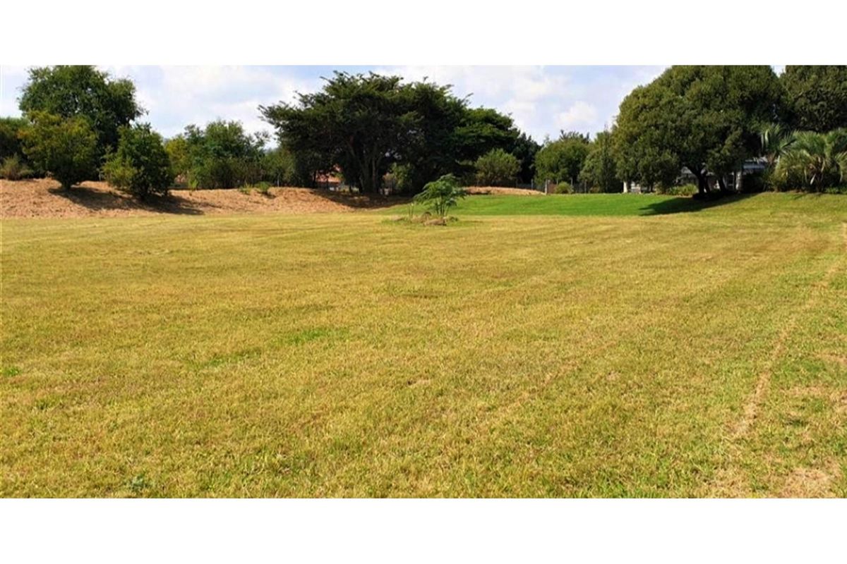 A wide, open residential plot featuring a well-maintained grass lawn and mature perimeter trees, offering a spacious setting for future development.