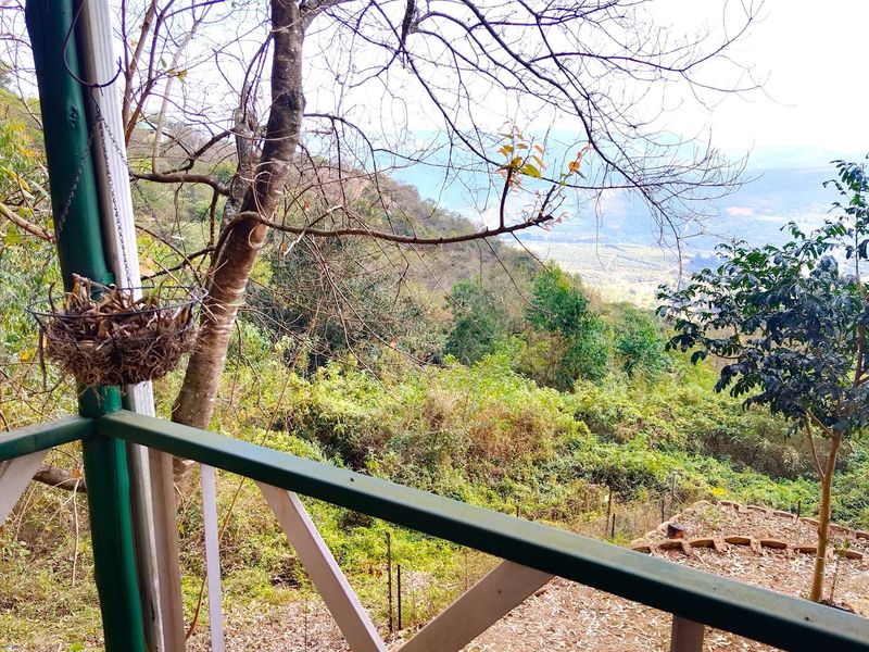 A scenic elevated view overlooking a lush green valley and hillside landscape from a railed balcony area.