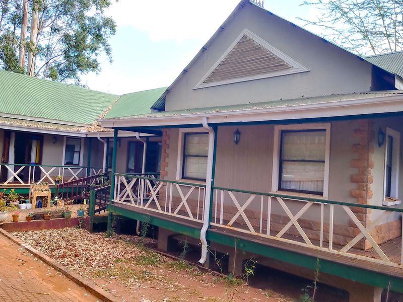 Rear view of the house featuring a wrap-around timber deck, corrugated metal roofing, and brick paved pathways in a garden setting.
