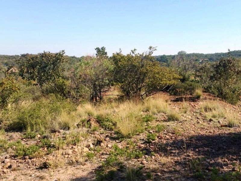 Rustic 74 ha Cattle Farm with 4 Houses - Photo 9