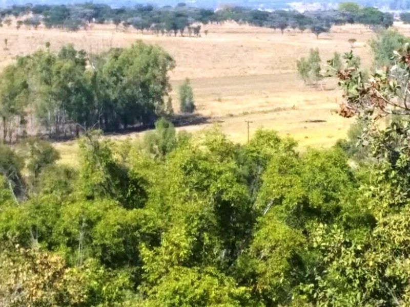 Rustic 74 ha Cattle Farm with 4 Houses - Photo 5