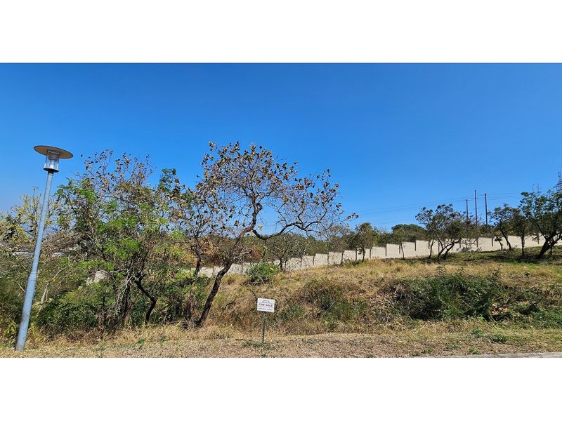 A vacant residential plot featuring a perimeter wall, mature trees, and a street lamp, offering a clear view of the undeveloped land.