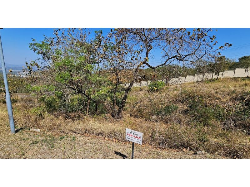 A vacant residential plot featuring natural vegetation, a boundary wall, and a street light pole, ready for development.