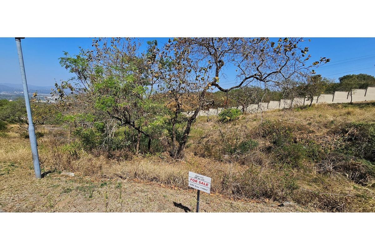 A vacant residential plot featuring natural vegetation, a boundary wall, and a street light pole, ready for development.