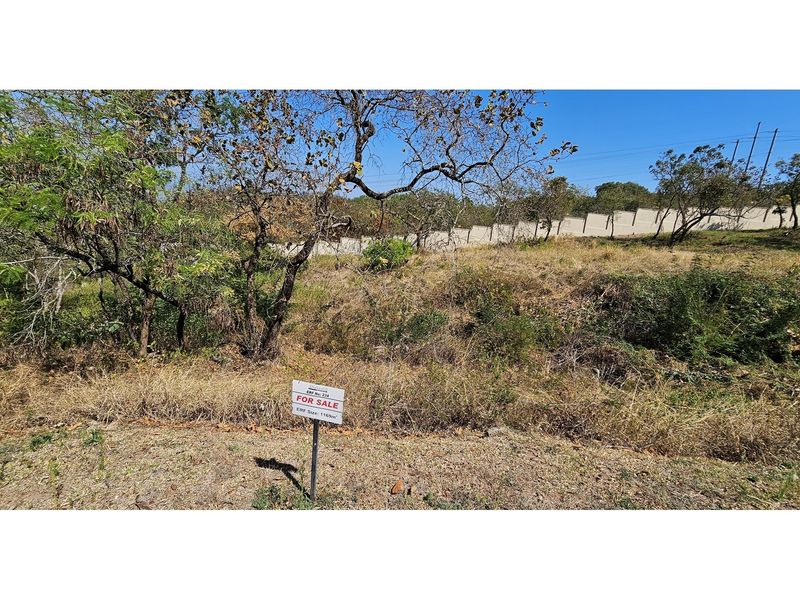 A vacant residential plot of land featuring natural vegetation and a perimeter wall boundary.