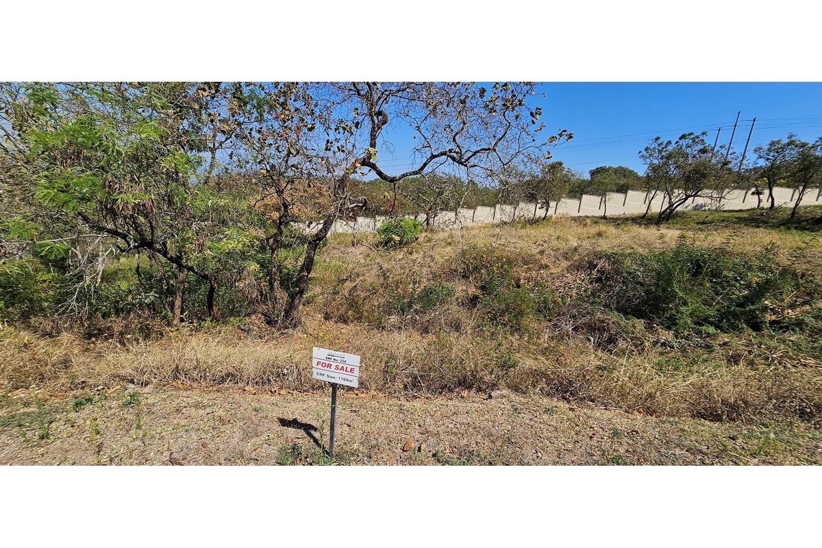 A vacant residential plot of land featuring natural vegetation and a perimeter wall boundary.