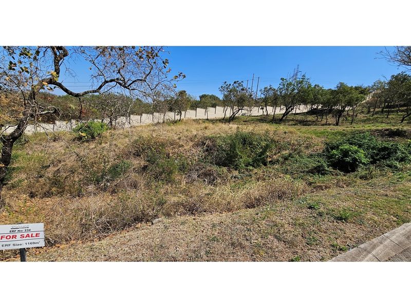 A vacant residential plot measuring 1169 square meters, featuring natural vegetation, a boundary wall, and paved street access.
