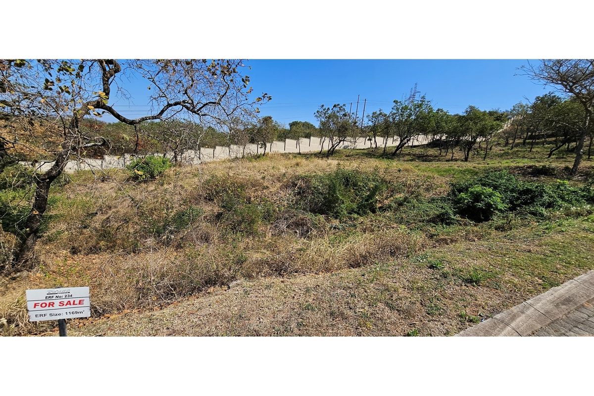 A vacant residential plot measuring 1169 square meters, featuring natural vegetation, a boundary wall, and paved street access.
