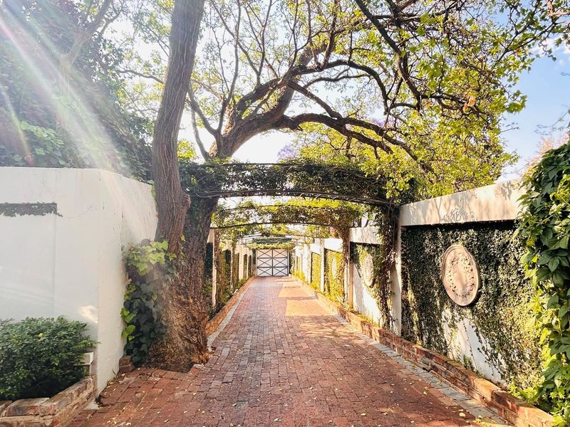 An Enchanting 4 bedroom Family Sanctuary Amidst Waterkloof’s Prestige - Photo 4