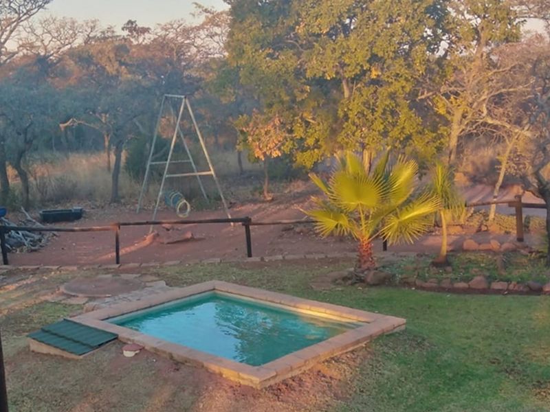 A view of a small plunge pool set within a landscaped garden, featuring a natural bushveld backdrop and a rustic timber fence.