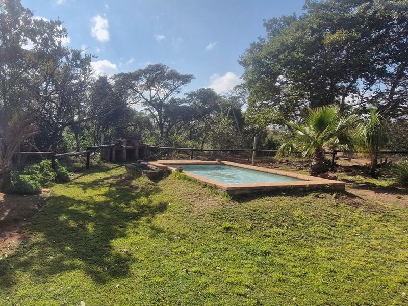 Outdoor pool area featuring a small swimming pool and a built-in brick braai, set within a natural, tree-lined garden environment.