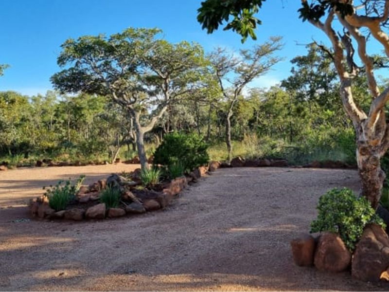 A natural landscaped garden area featuring gravel pathways, mature indigenous trees, and decorative rock borders in a serene outdoor setting.