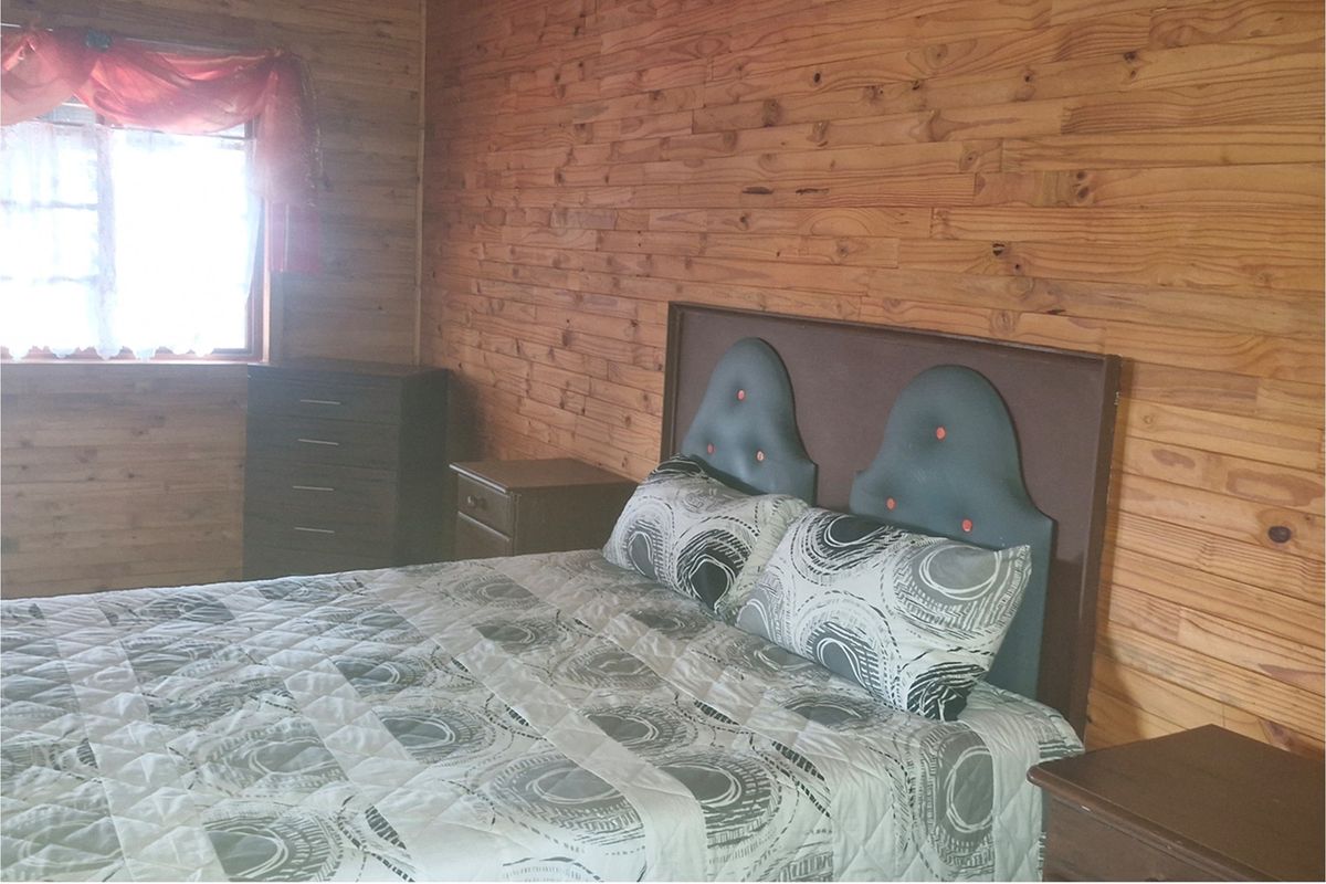 A bedroom featuring natural timber wall cladding and a window providing natural light.