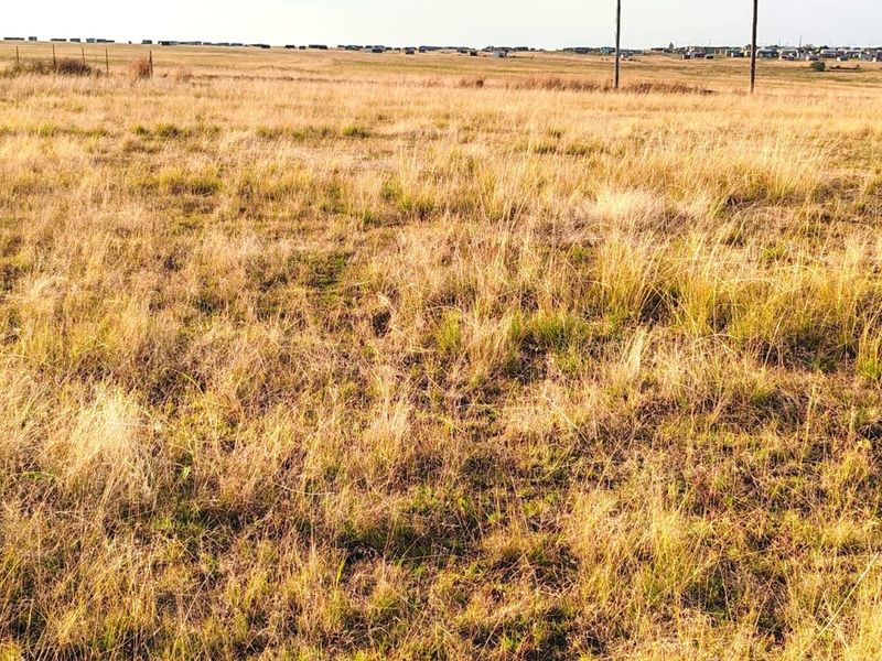 ORANJEVILLE * VACANT STAND * 2091sqm * R110 000.00 - Photo 6