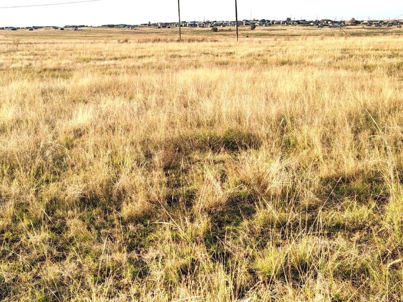 ORANJEVILLE * VACANT STAND * 2091sqm * R110 000.00 - Photo 5