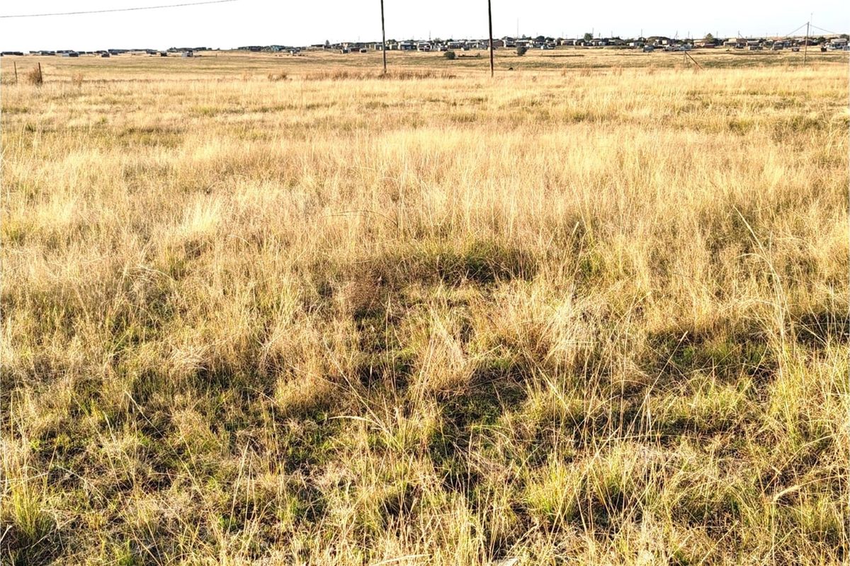 ORANJEVILLE * VACANT STAND * 2091sqm * R110 000.00 - Photo 5