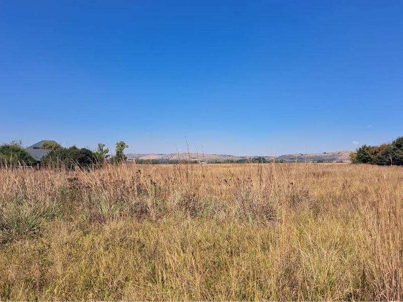 Vacant Land in Exclusive Letamo Game Farm - Cradle of Humankind - Photo 4