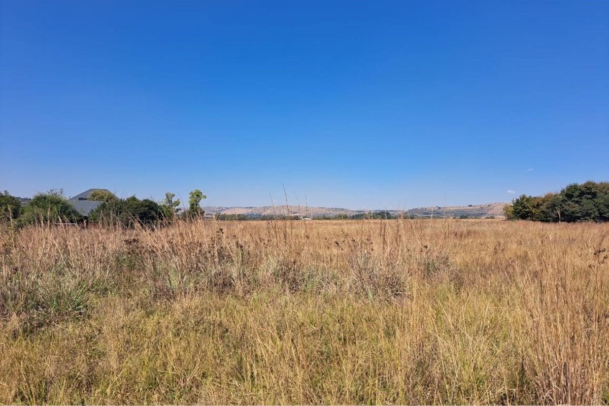 Vacant Land in Exclusive Letamo Game Farm - Cradle of Humankind - Photo 4