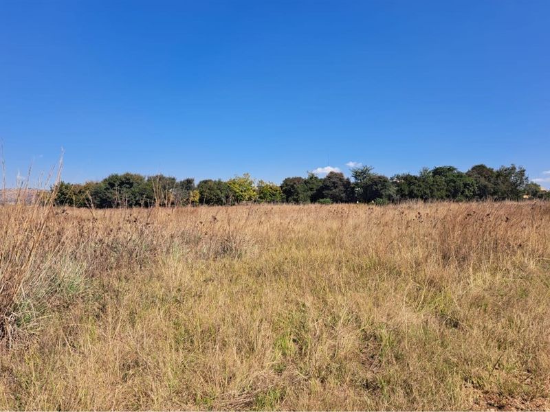 Vacant Land in Exclusive Letamo Game Farm - Cradle of Humankind - Photo 3