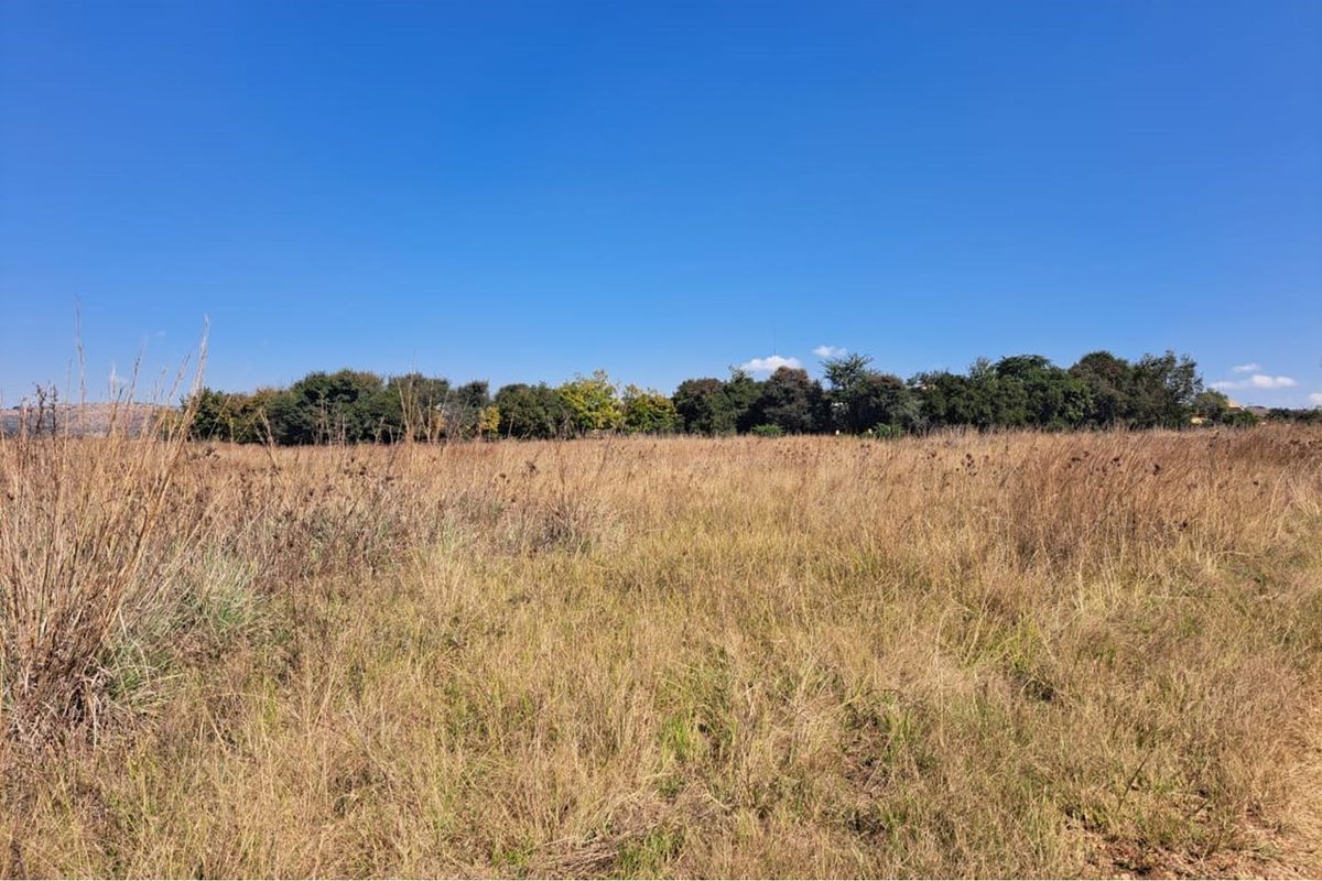 Vacant Land in Exclusive Letamo Game Farm - Cradle of Humankind - Photo 3