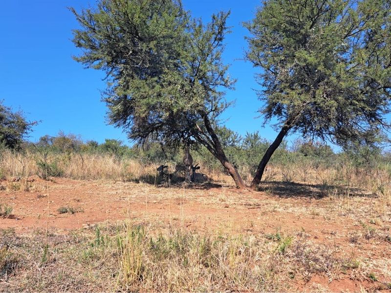 Vacant Land in Exclusive Letamo Game Farm - Cradle of Humankind - Photo 2