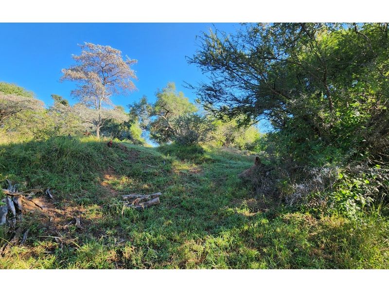 Intaba-Indle Wilderness Estate - Your dream home stand bordering seasonal stream and near Dam - Photo 9