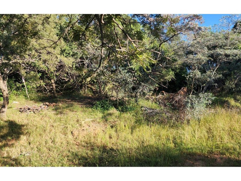 Intaba-Indle Wilderness Estate - Your dream home stand bordering seasonal stream and near Dam - Photo 8