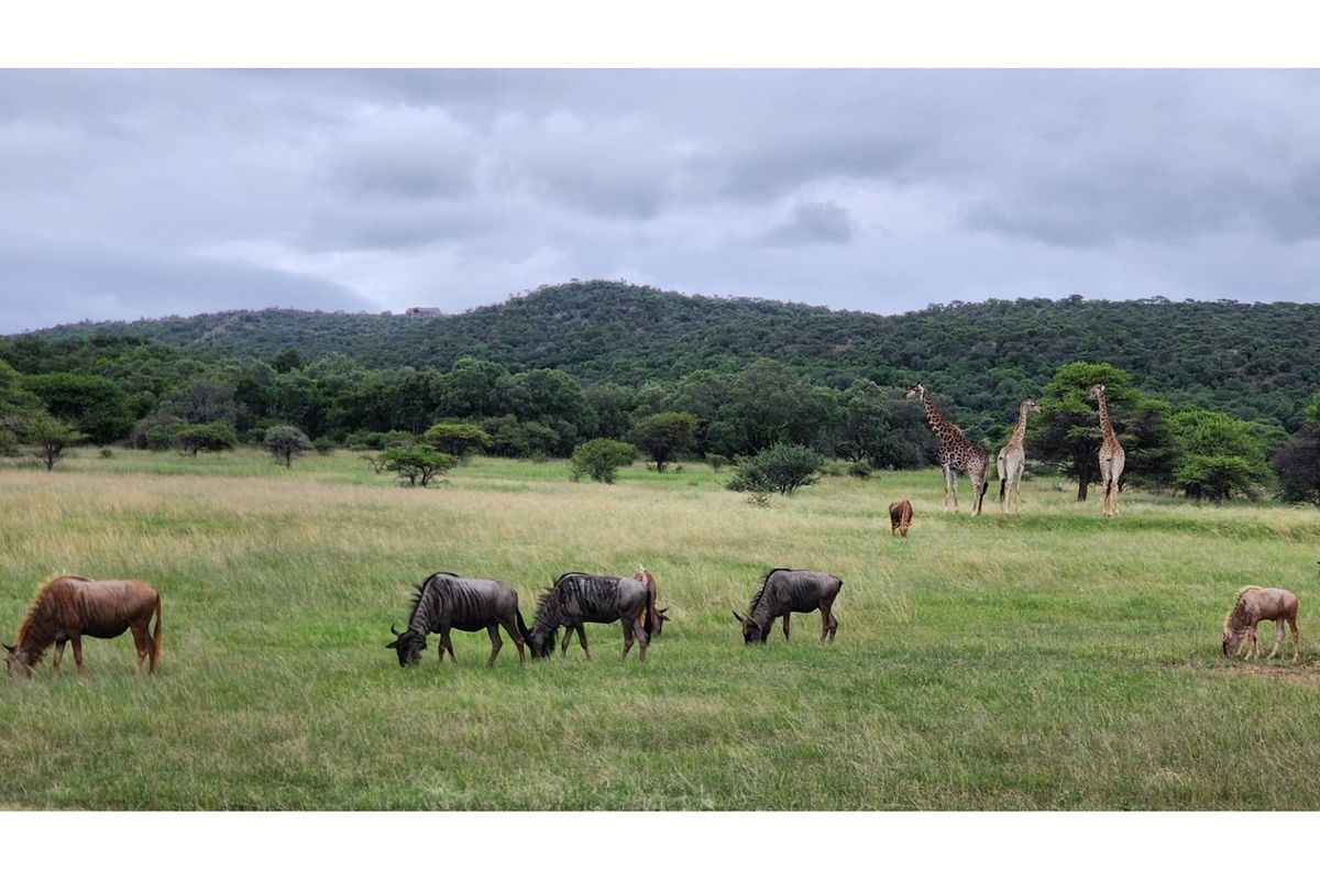Intaba-Indle Wilderness Estate - Your dream home stand bordering seasonal stream and near Dam - Photo 2