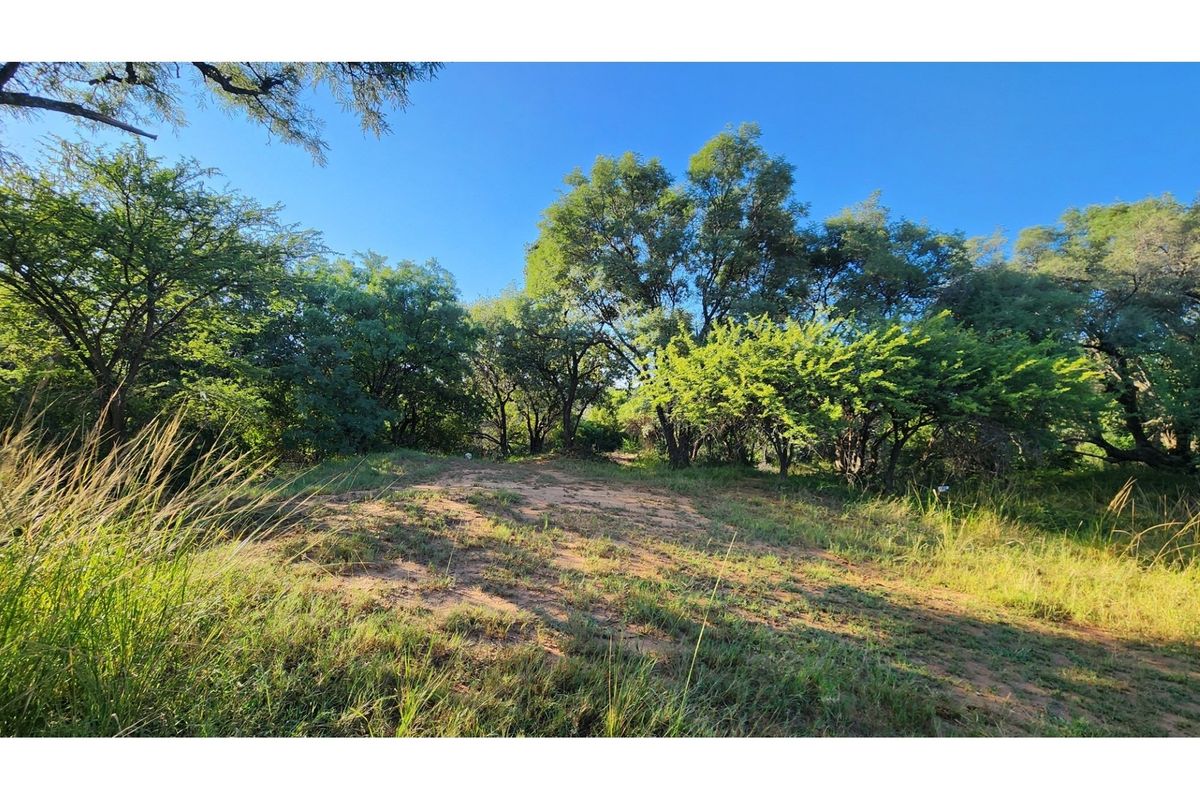 Intaba-Indle Wilderness Estate - Your dream home stand bordering seasonal stream and near Dam - Photo 4