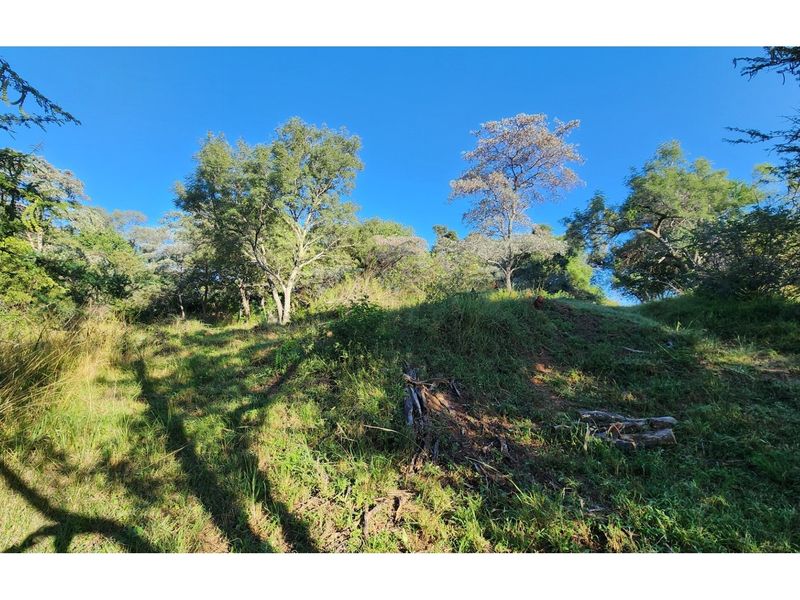 Intaba-Indle Wilderness Estate - Your dream home stand bordering seasonal stream and near Dam - Photo 7