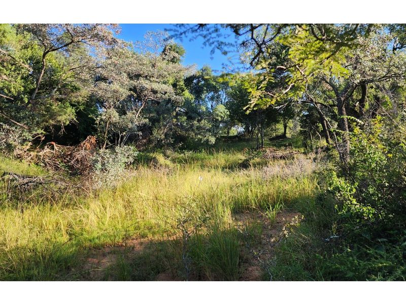 Intaba-Indle Wilderness Estate - Your dream home stand bordering seasonal stream and near Dam - Photo 6